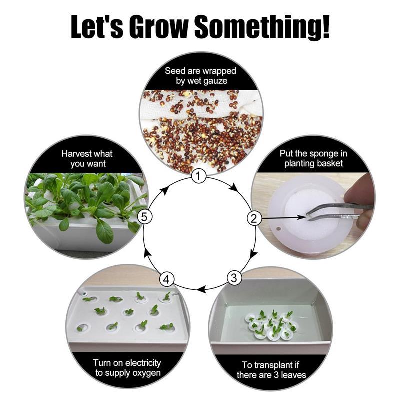 Hydroponic System 24 Holes Cabinet