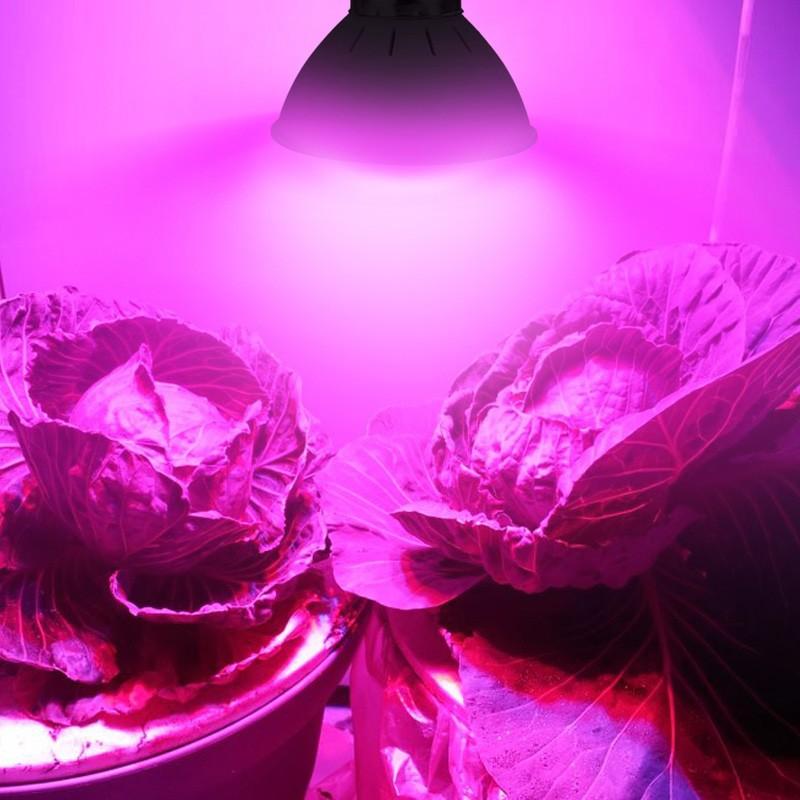 Hydroponics Led Grow Light Royal15