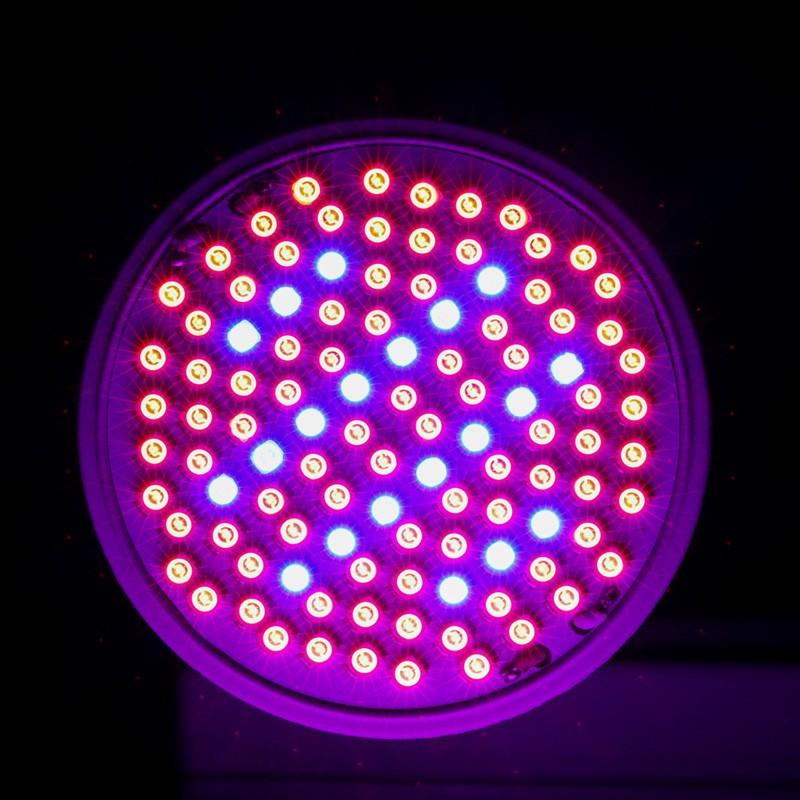 Hydroponics Led Grow Light Royal15