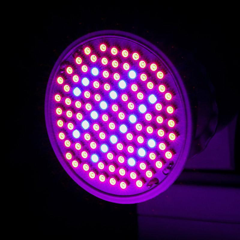 Hydroponics Led Grow Light Royal15