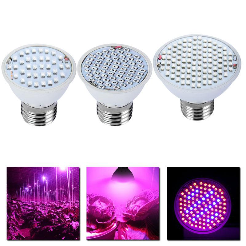 Hydroponics Led Grow Light Royal15